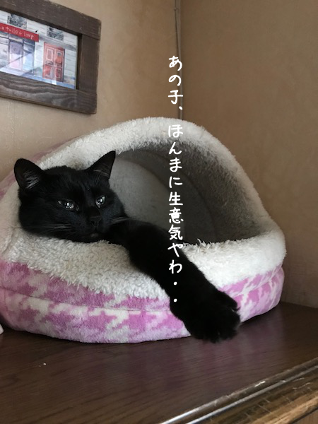 a0216583_02350806.png