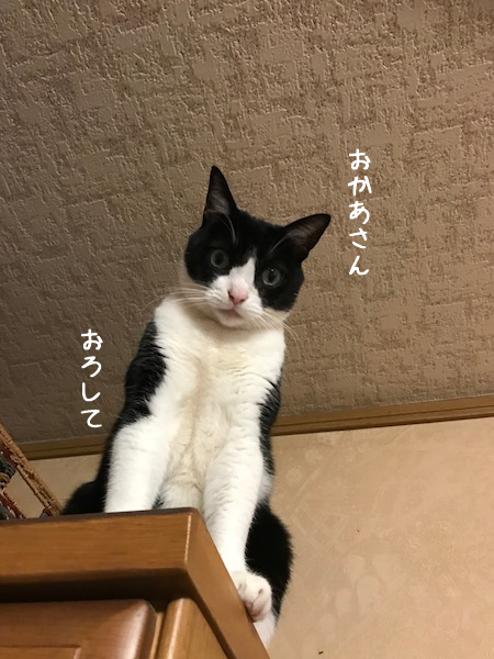 a0216583_02352386.png