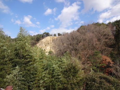 e0264287_17350230.jpg