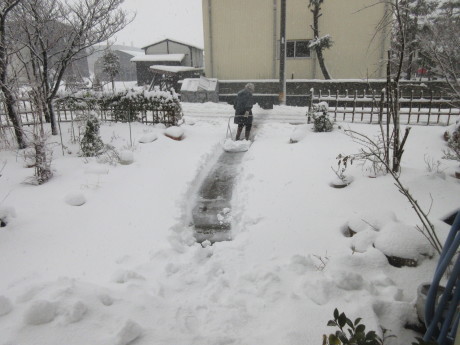 a0203003_16213765.jpg