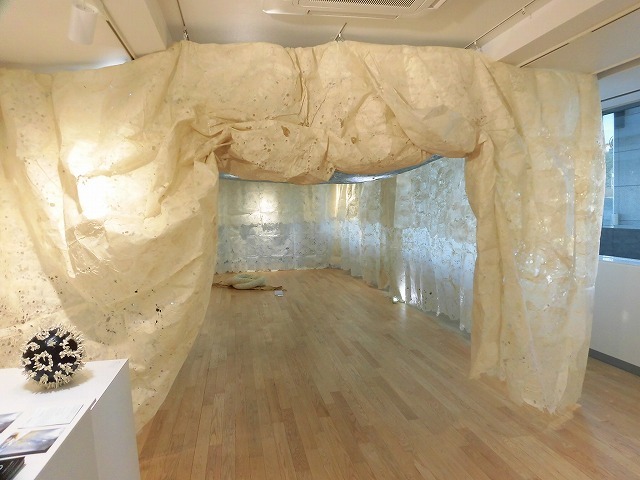 和の不思議な空間 イタリアで「和紙」を漉き作品を創る「秋山信茂展」in「ふじ・紙のアートミュージアム」_f0141310_07033616.jpg