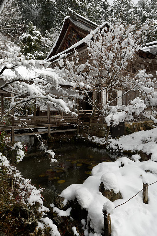 正月雪景色＠京北町　常照皇寺･其の二_f0032011_21313144.jpg