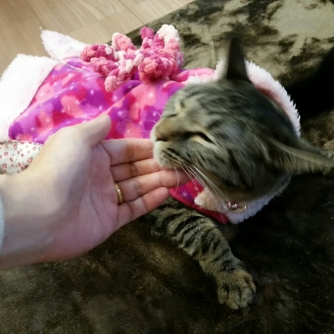 e0144012_21591409.jpeg