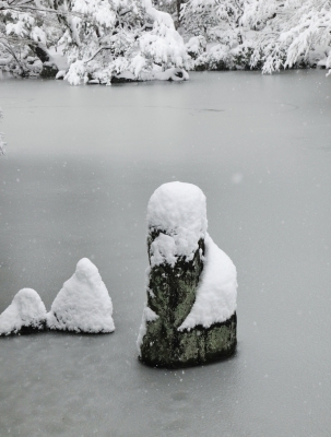 ～　清水園　雪景色　～_e0135219_15383080.jpg