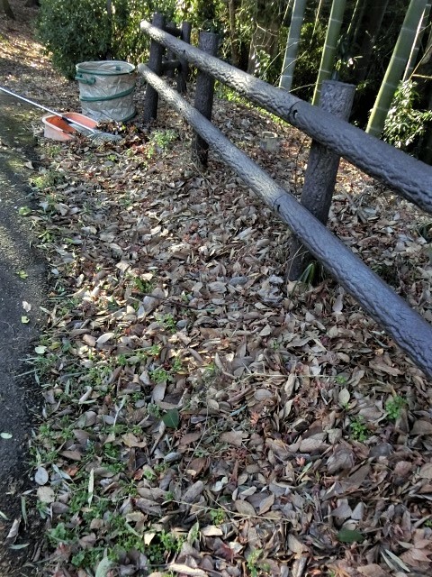 f0354923_22472759.jpg