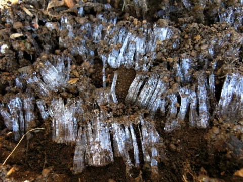 f0354923_23035098.jpg