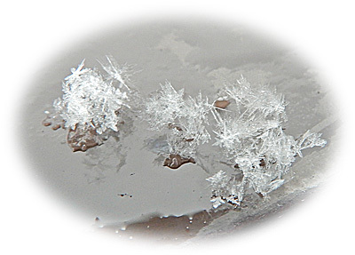 b0037926_17042703.jpg