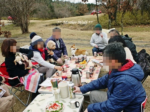 第7回キャンプ『マザーウルフCAMP~2017冬~in 静岡』①前篇_e0191026_17160161.jpg