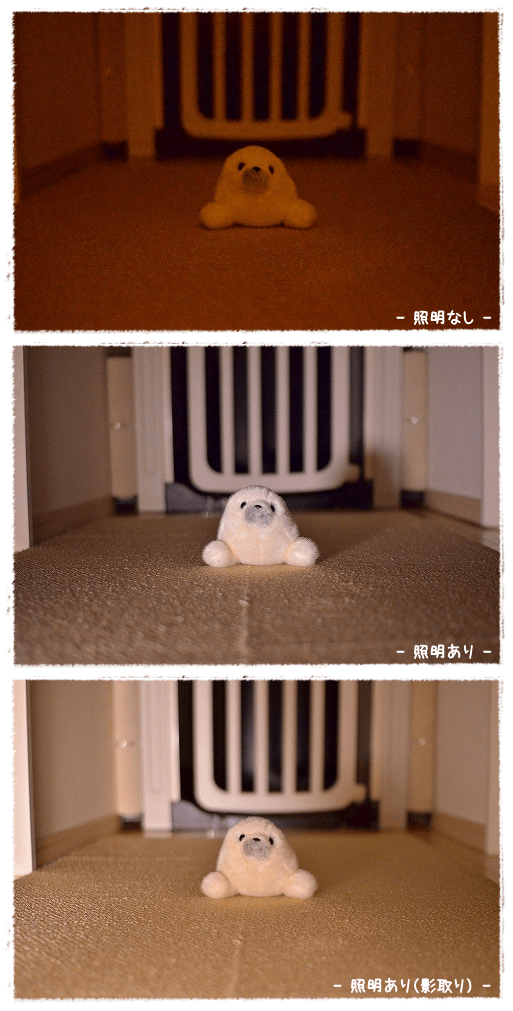 d0179828_10094875.png