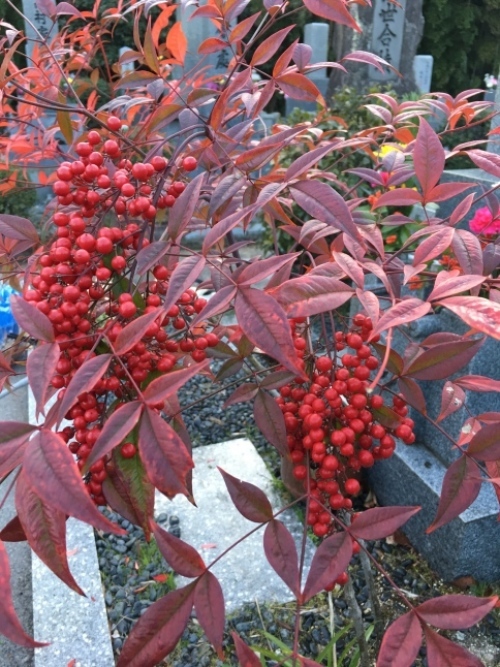 f0191444_12285087.jpg