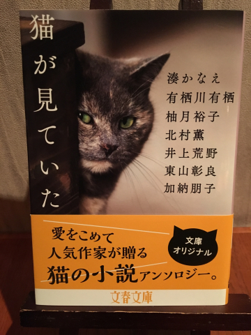 犬は見るだけじゃなくて寄って来そう_f0082056_19154775.jpg