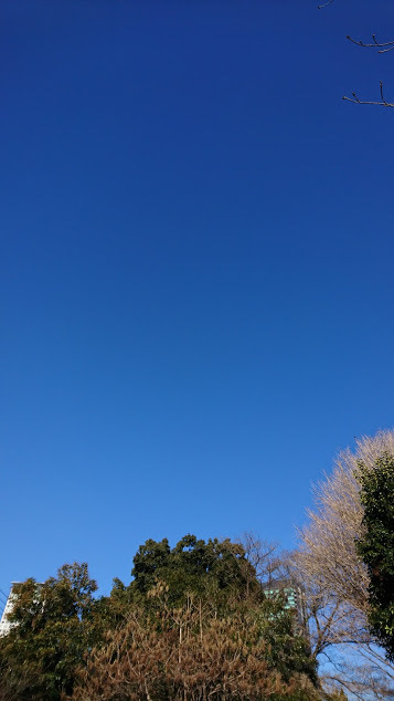f0363156_17405105.jpg