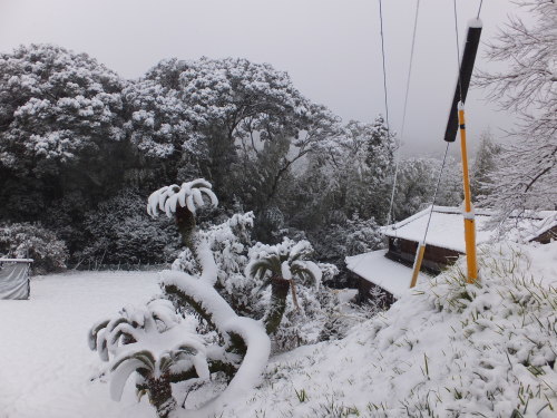 2年ぶりの大雪～1_d0336460_23271718.jpg