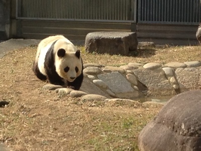 a0295764_00420495.jpeg