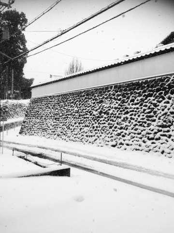 d0018868_15015351.jpeg