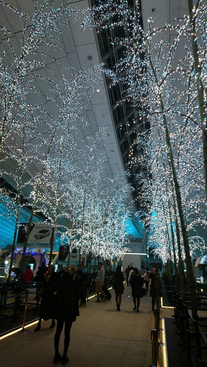 c0002171_19542413.jpg