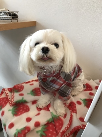 b0193480_20014122.jpeg