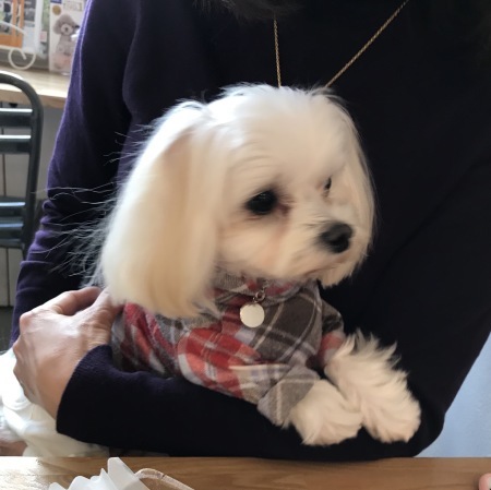b0193480_20022415.jpeg