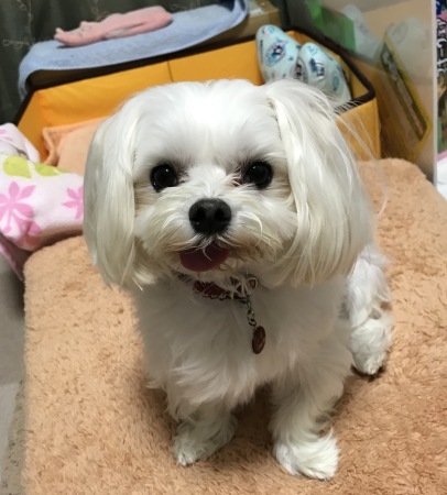 b0193480_20040560.jpeg