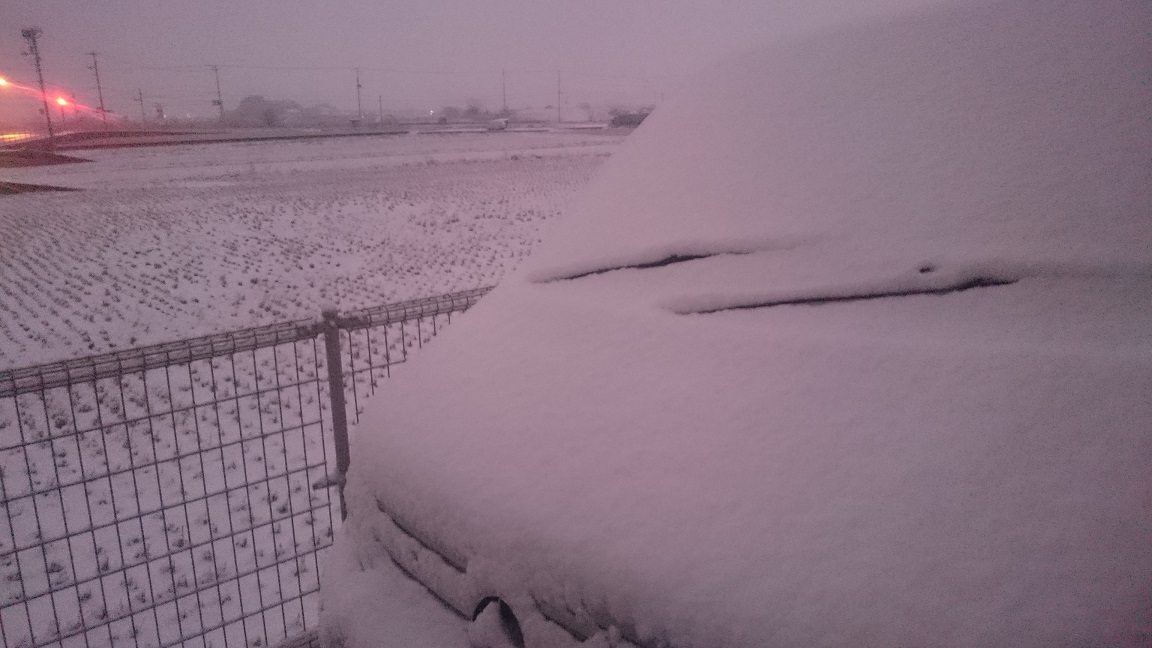 まるで雪国_f0172281_653212.jpg