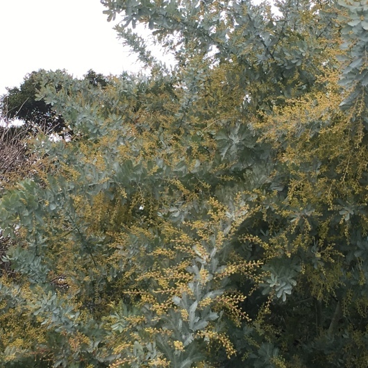 b0336787_22365046.jpeg