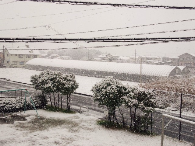 a0105396_00093413.jpg