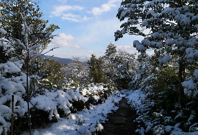 a0339396_20100556.jpg