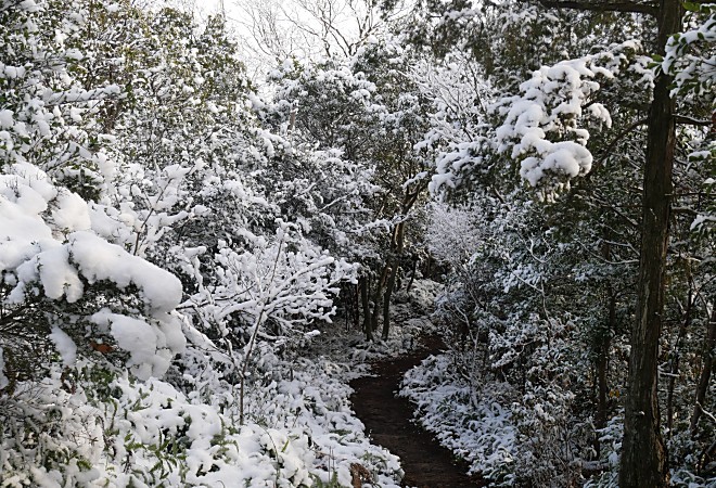 a0339396_20101583.jpg