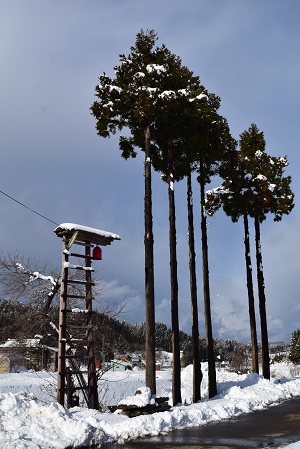 小寒雪景色_c0187298_17564776.jpg