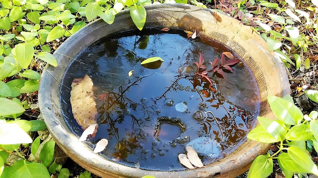 c0221299_10283217.jpg