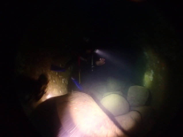 e0115199_14244749.jpg