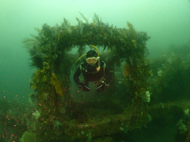 e0115199_16144501.jpg