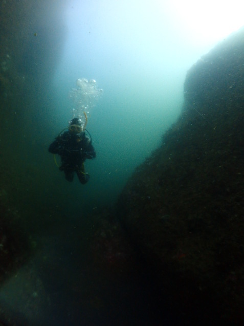 e0115199_16184637.jpg