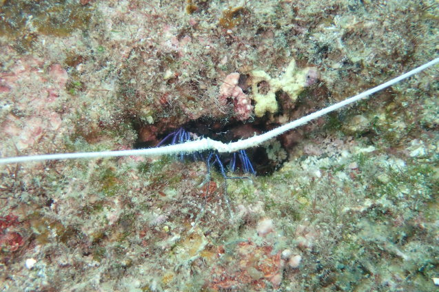e0115199_18265601.jpg