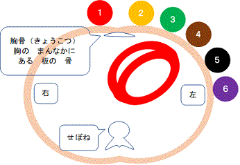 一般健康診断（４７）＠労働安全衛生法_d0364500_16374600.gif