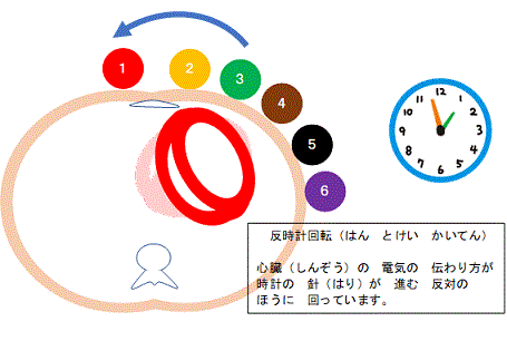 転用 砂漠 バケツ 心電図 反 時計 回転 Hotelchambuplaza Net