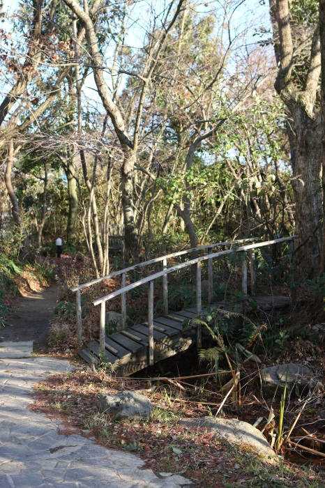 a0123003_00145723.jpg