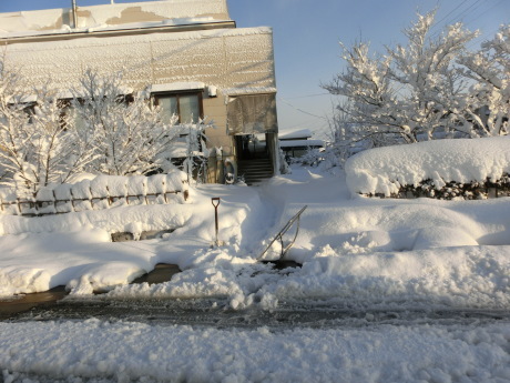 a0203003_10293812.jpg