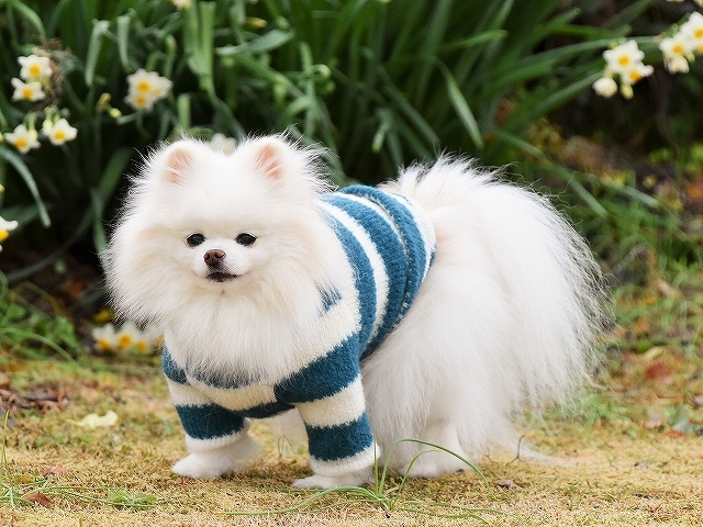 写真が増えすぎて_d0360206_02480991.jpg