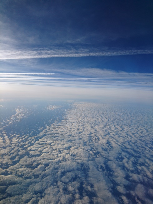 e0087008_8593339.jpg