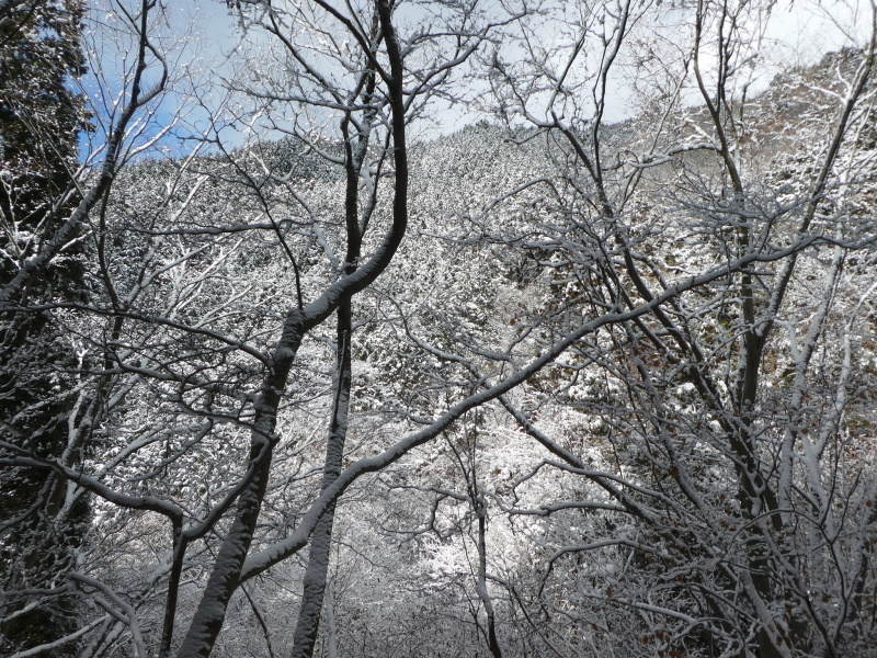 樹氷が美しかった　高賀山 (1,224.2M) 　登頂 編_d0170615_18420403.jpg