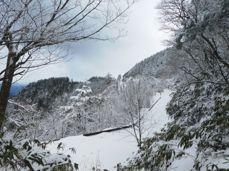 樹氷が美しかった　高賀山 (1,224.2M) 　登頂 編_d0170615_18421256.jpg