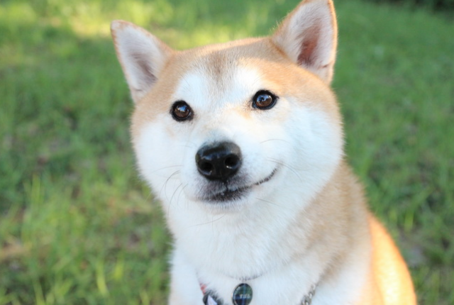 b0150018_15085349.png