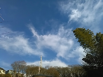 f0354923_23451431.jpg