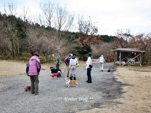 第7回キャンプ『マザーウルフＣＡＭＰ～2017冬～in 静岡』①前篇_e0191026_13383564.jpg