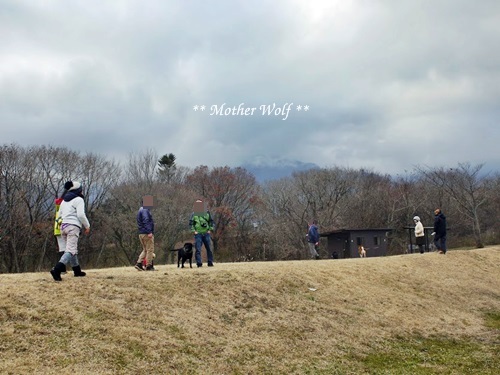 第7回キャンプ『マザーウルフCAMP~2017冬~in 静岡』①前篇_e0191026_13442650.jpg