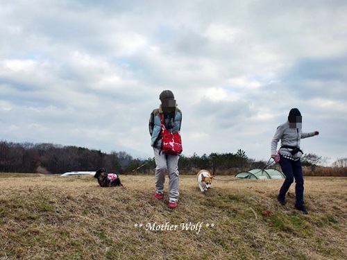 第7回キャンプ『マザーウルフCAMP~2017冬~in 静岡』①前篇_e0191026_13581553.jpg