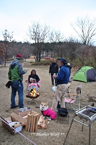第7回キャンプ『マザーウルフＣＡＭＰ～2017冬～in 静岡』①前篇_e0191026_18442799.jpg