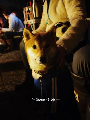 第7回キャンプ『マザーウルフCAMP~2017冬~in 静岡』①前篇_e0191026_19142306.jpg