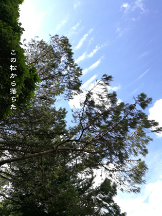 d0042827_17561454.jpg